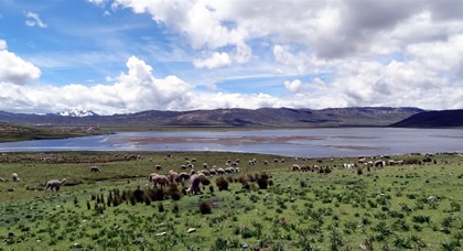 laguna conococha