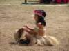 dsc05132_small.jpg