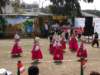 dsc05173_small.jpg